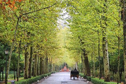 El parque de María Luisa, uno de los pulmones de la ciudad de Sevilla