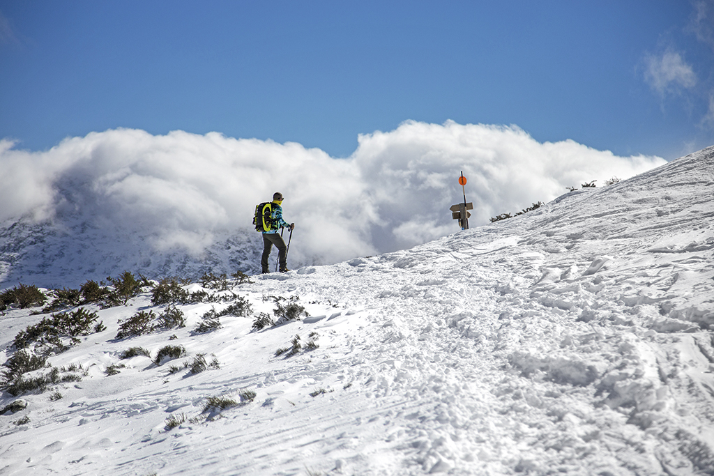 Ruta invernal con raquetas en la Sierra de Guadarrama