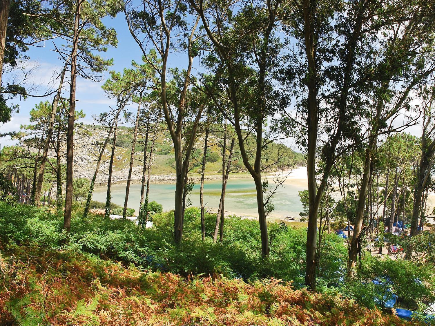 Camping en las Islas Cíes