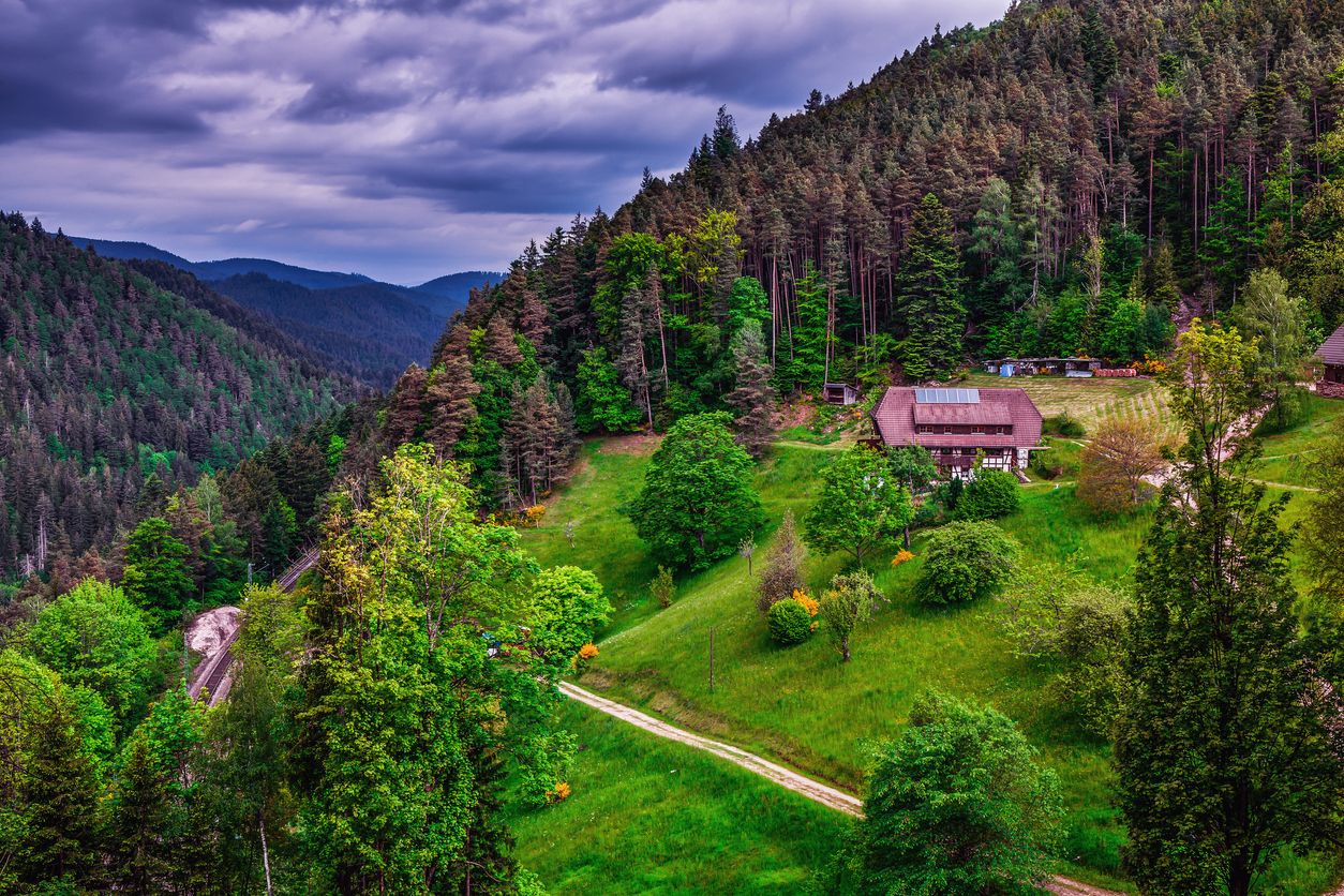 Selva Negra en Alemania