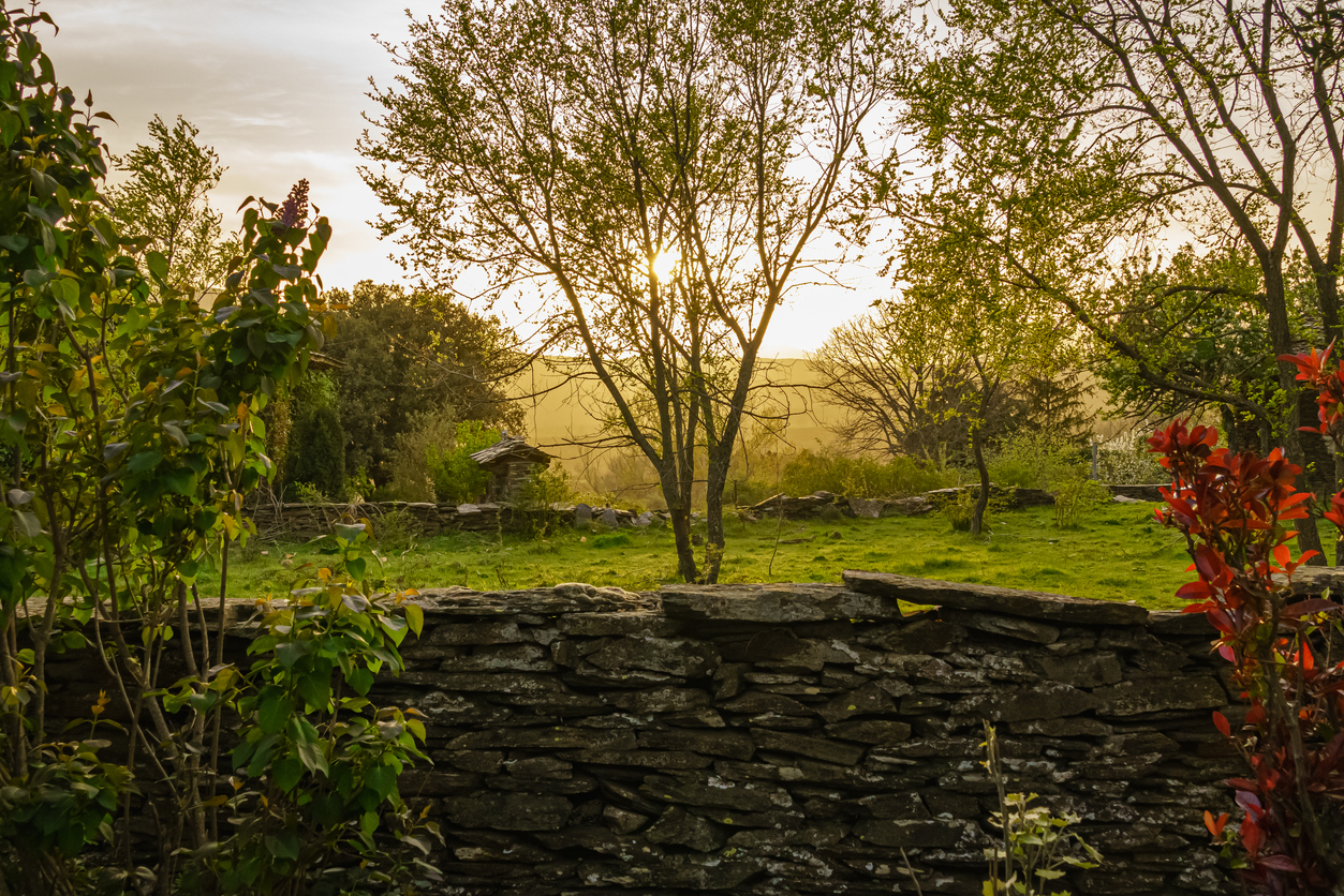 Majaelrayo en Guadalajara (Istockphoto)
